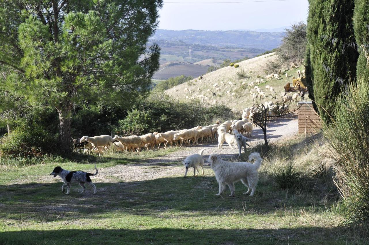 Agriturismo La Colombera in Toscana Roccalbegna Exterior foto